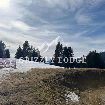 Grizzly - Duplex Sur Les Pistes * Les Gets
